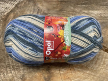 Charger l'image dans la galerie, Laine Opal Laubgeflüster - Boutique du Bricolage