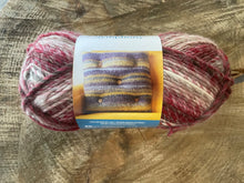 Charger l'image dans la galerie, Laine Symphony Punch de Pomegranate - Boutique du Bricolage