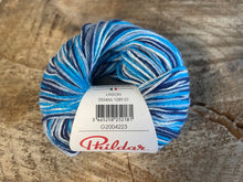 Charger l'image dans la galerie, Laine Phil Exotique Lagon - Boutique du Bricolage