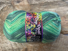 Charger l'image dans la galerie, Laine Opal Chats et Chiens 11231 - Boutique du Bricolage