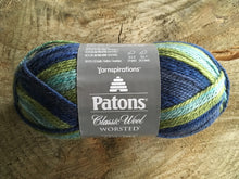 Charger l'image dans la galerie, Classic Wool - Patons