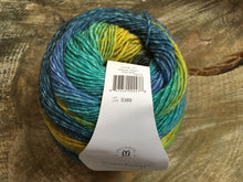 Charger l'image dans la galerie, Laine Colorburst Paon - Boutique du Bricolage