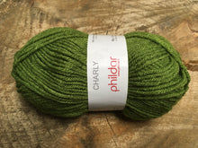 Charger l'image dans la galerie, Laine Charly Gazon - Boutique du Bricolage